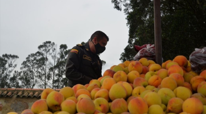 Multan a vendedor de duraznos y pelanga en Zipaquirá