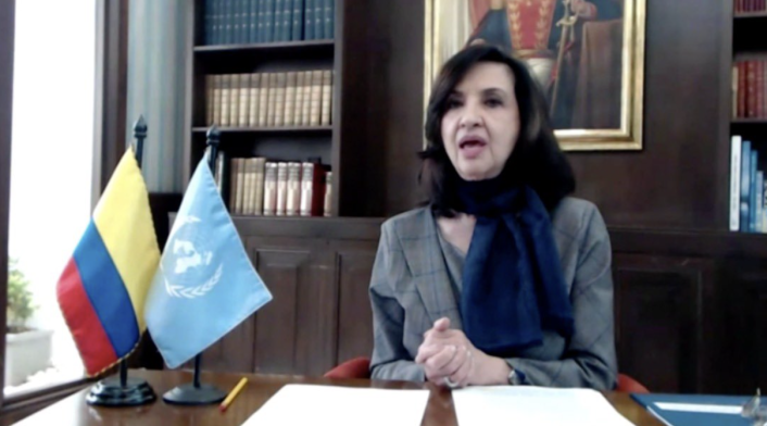Canciller Claudia Blum en Consejo de Seguridad de la ONU