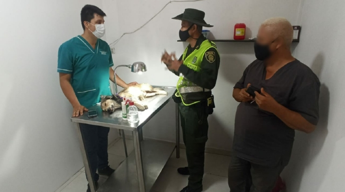 Maltrato Animal Neiva