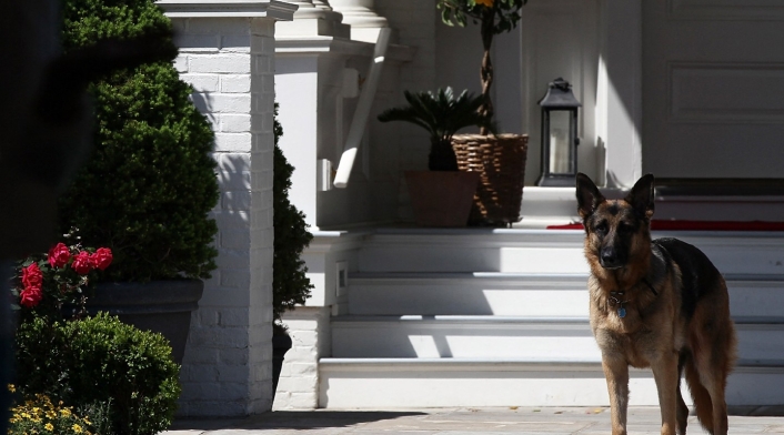 Champ, perro de Joe Biden