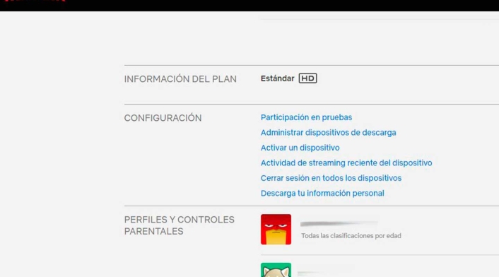Menú Netflix de funciones de la cuenta