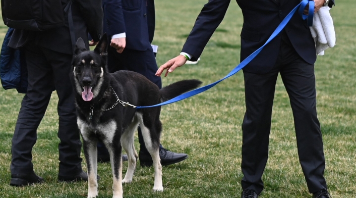 Major, el pastor alemán de Joe Biden
