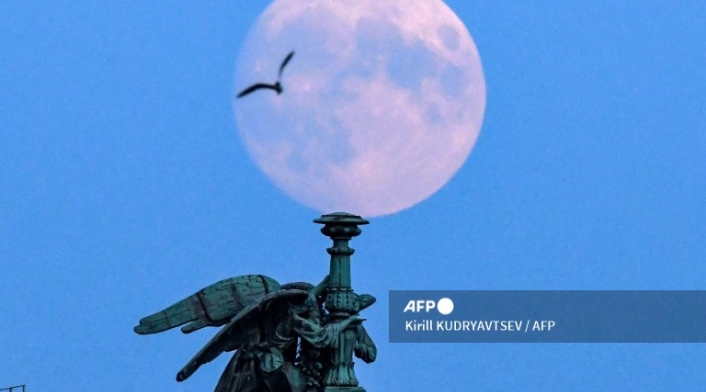 LUNA DE FRESA