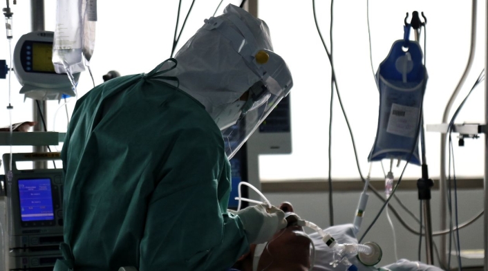 candida auris colombia contagio del súper hongo