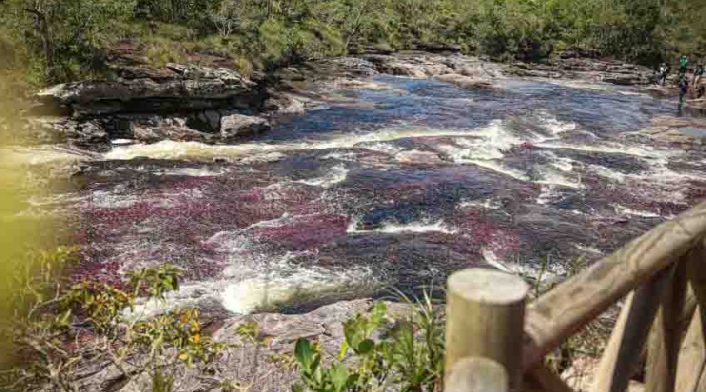 caño cristales en colombia