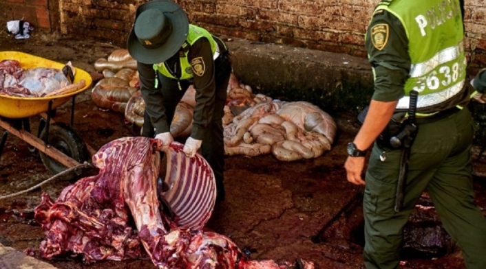El matadero fue ubicado en el barrio La Feria, occidente de Bucaramanga.