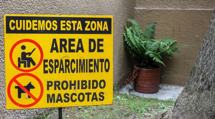 codigo de policia en colombia perros potencialmente peligrosos con póliza