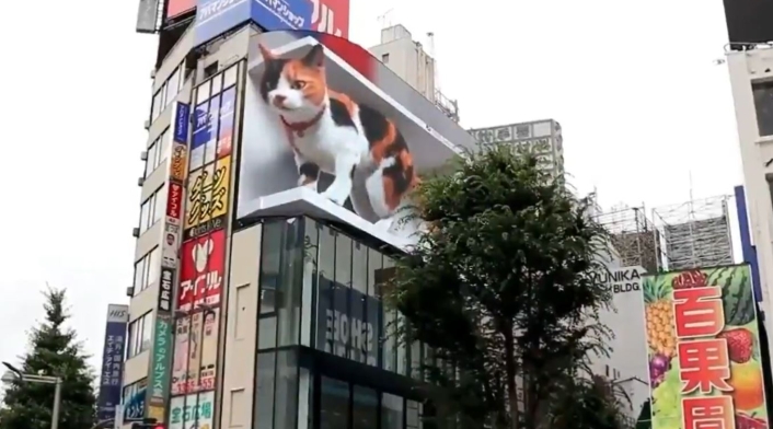 Gato 3d en Shinjuku