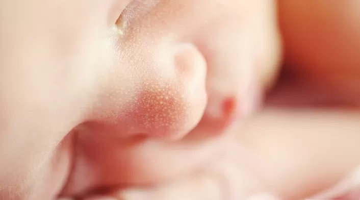 Bebé Bebé