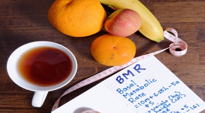 Metabolismo - imagen de referencia