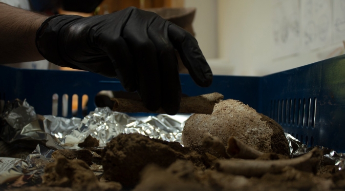 Se recuperaron más de 17.000 piezas de cerámica en un hallazgo arqueológico