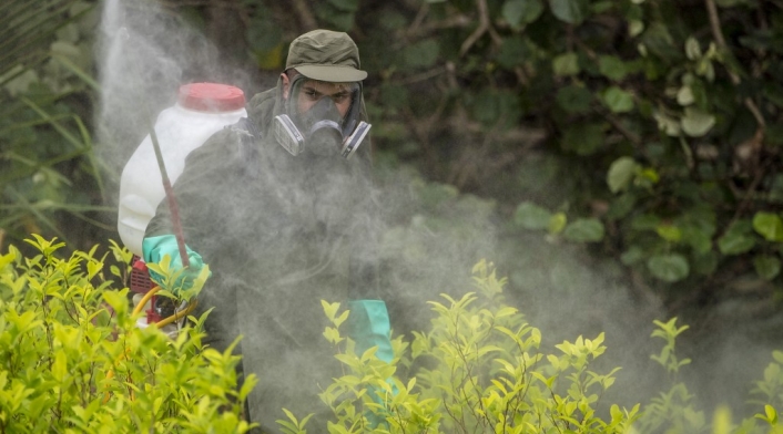 Policía Antinarcóticos - Lucha contra las drogas - Colombia - Tumaco - Cultivos ilícitos