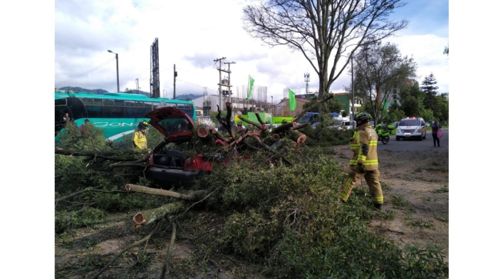 Árbol cae sobre carros en Bogotá Árbol cae sobre carros en Bogotá