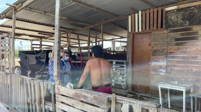 Procuraduría pidió restablecer derechos de menores de edad que viven en las pesebreras de Cartagena