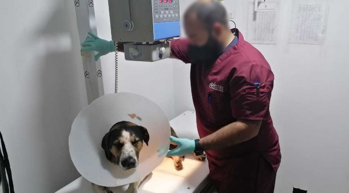 'Peter' perdió su ojo izquierdo, luego de ser atacado con arma de fuego