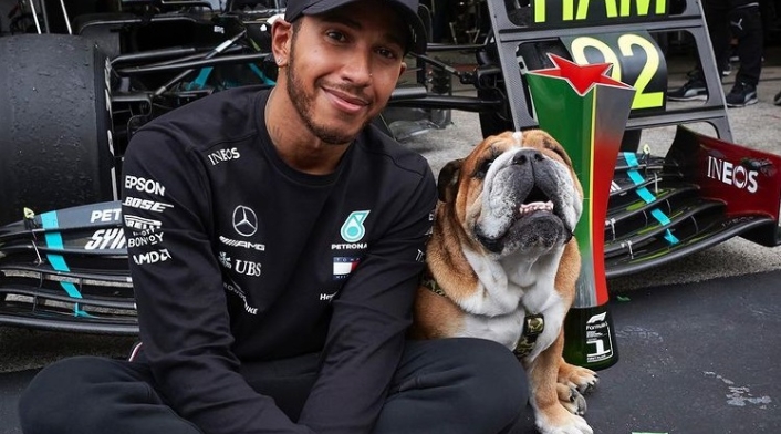 Perro de Lewis Hamilton Perro de Lewis Hamilton