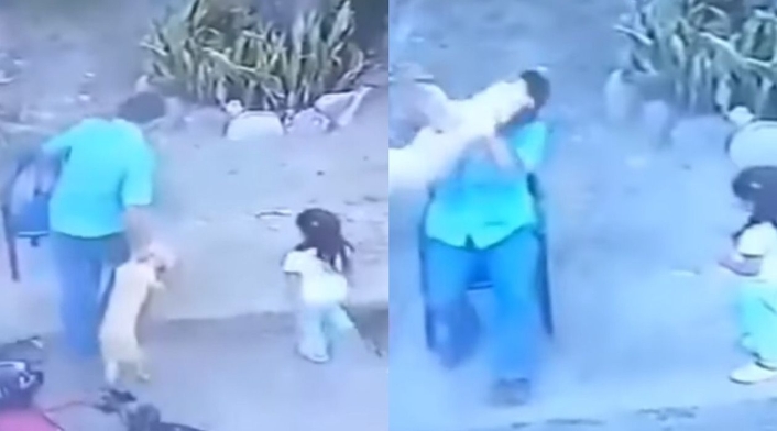 Hombre maltrata a un Perrito
