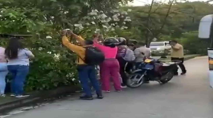 Investigan el origen