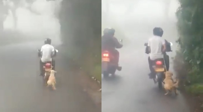 Perro arrastrado por una moto en Risaralda