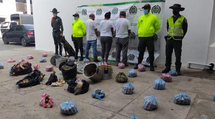 Capturados por por el delito de aprovechamiento ilícito de los recursos naturales renovables.