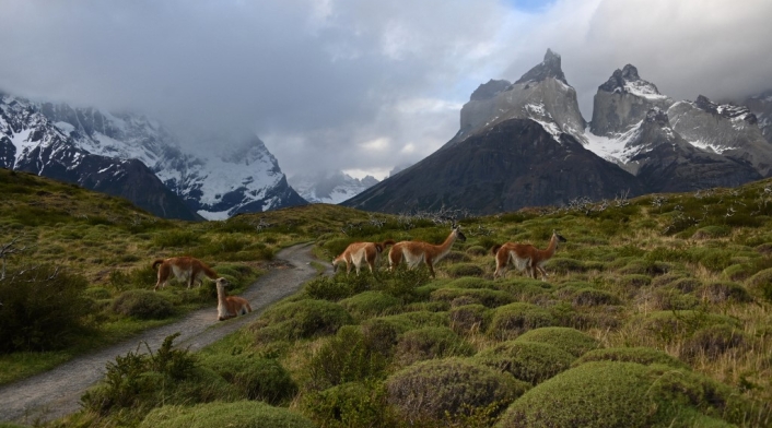 Parque Torres del Paine