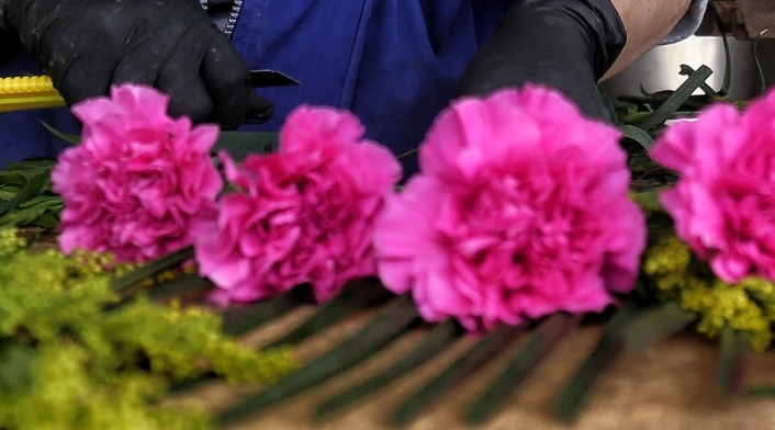 x Festival de las Flores Madrid Cundinamarca