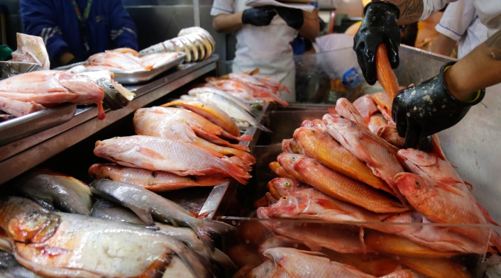 Pesca y acuicultura para exportar Pesca y acuicultura para exportar