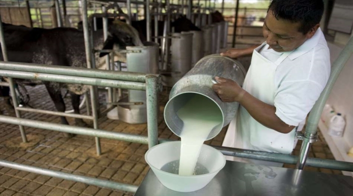 Productores leche Productores leche
