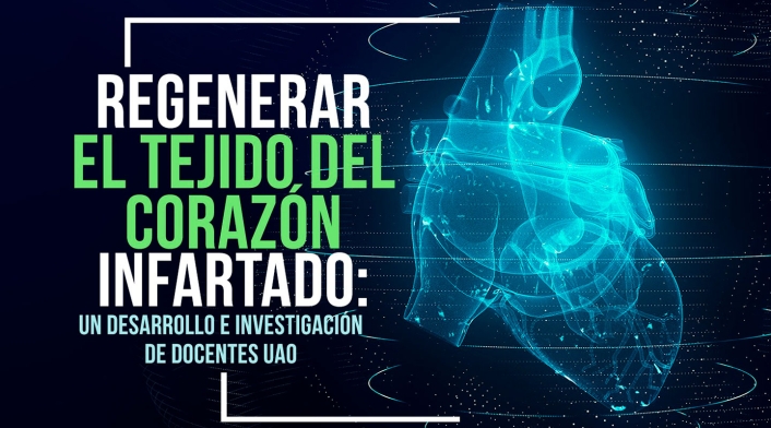Corazón infartado Corazón infartado