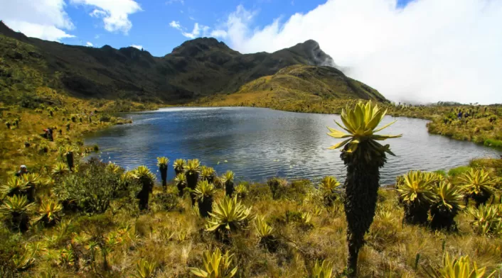 Valle del Cauca Destinos de paz, un programa de la UAO Valle del Cauca Destinos de paz, un programa de la UAO