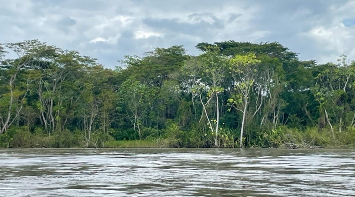 Río Magdalena necesita dragado Río Magdalena necesita dragado ante ola invernal