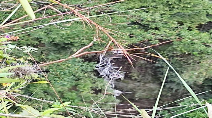 Buscan piloto de avioneta accidentada en Ibagué