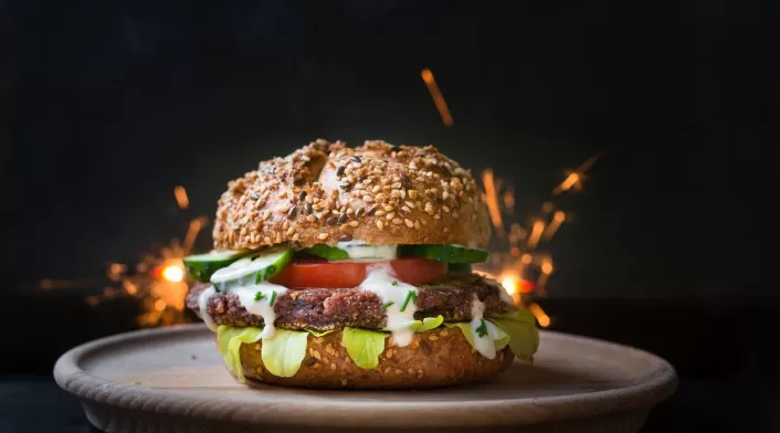 Hamburguesa Vegetariana