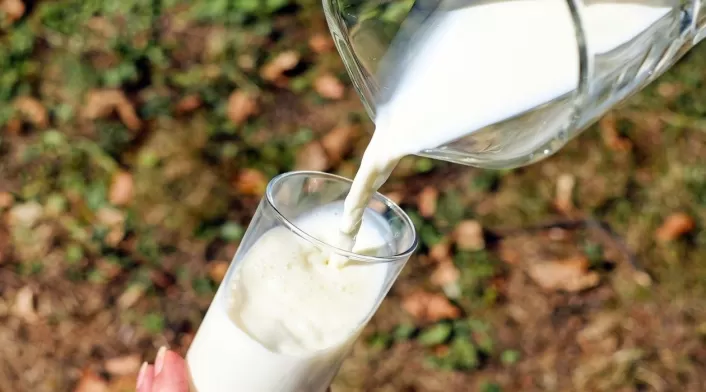 Producción de leche en Colombia Producción de leche en Colombia