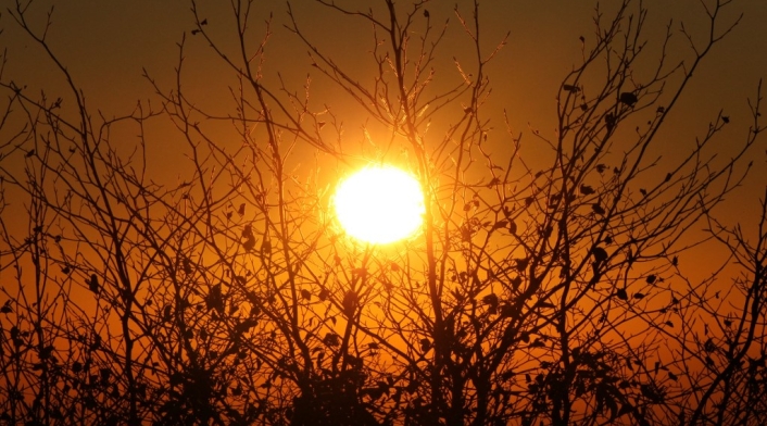 Sol Sol