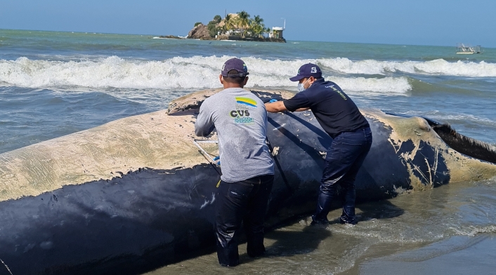 El caso ocurrió en San Bernardo del Viento