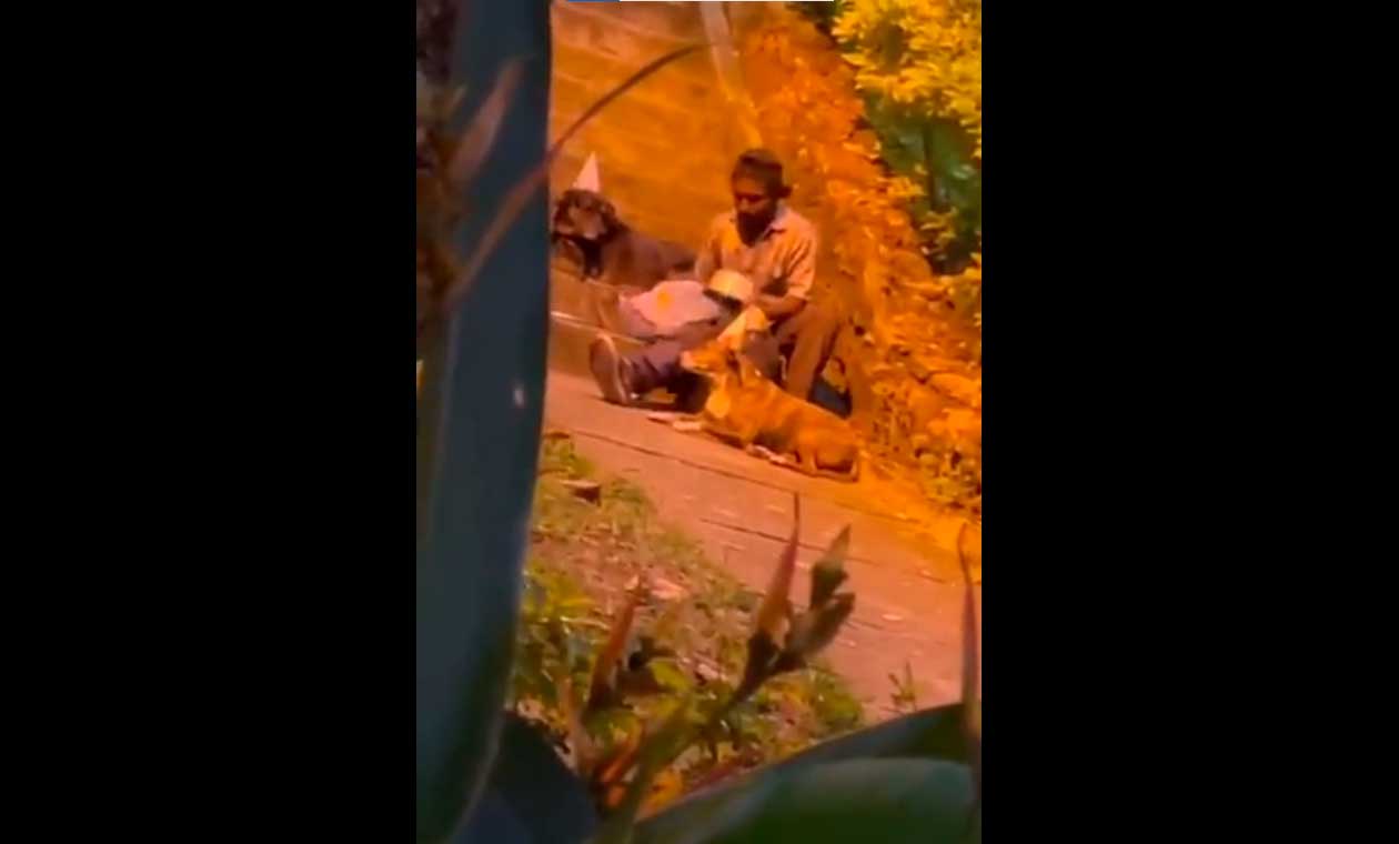 Habitante de calle celebra cumpleaños a sus perros Habitante de calle celebra cumpleaños a sus perros