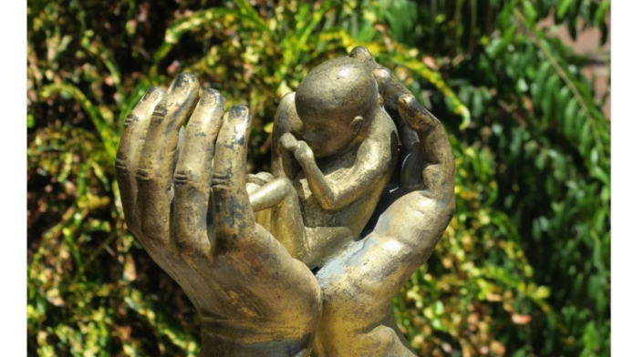 Aborto en Colombia: Proceso a seguir si un médico lo niega Aborto en Colombia: Proceso a seguir si un médico lo niega