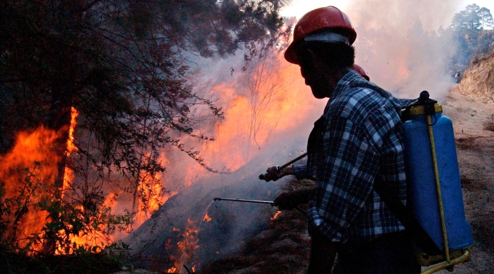 Incendio forestal
