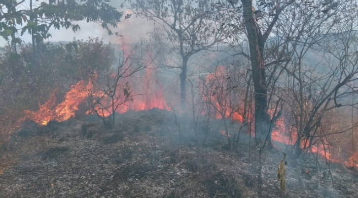 Incendios forestales en Antioquia (imagen referencial).