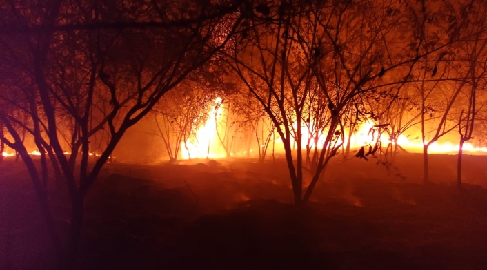 Alera Naranja por incendios