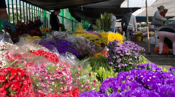 Variedad de flores