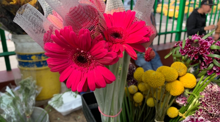 Venta de flores Bogotá