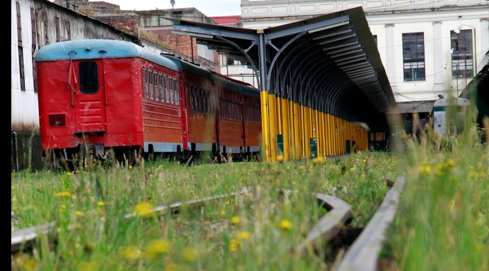 Vía del tren de la sabana Vía del tren de la sabana