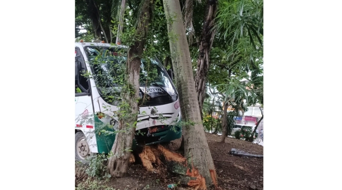 Bus escolar accidentado en Cali se estrelló contra una palma