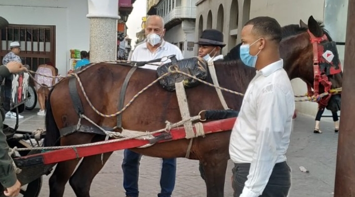 Caballos cocheros