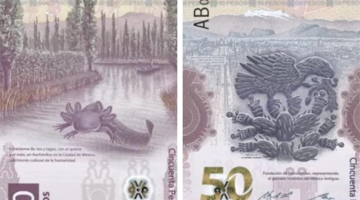 Billete de 50 pesos mexicanos Billete de 50 pesos mexicanos