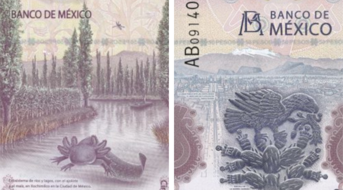 Billete de 50 pesos mexicanos Billete de 50 pesos mexicanos