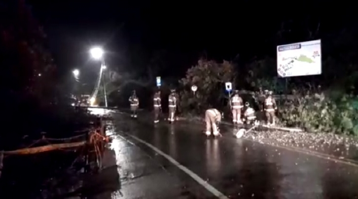 Cerrada por caída de árbol y postes