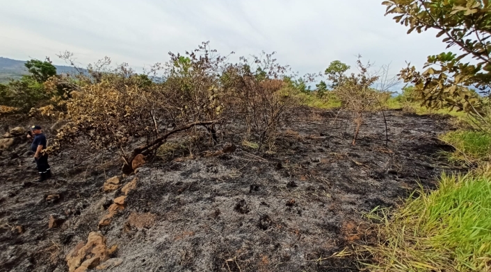 Incendio forestal en Barichara, Santander